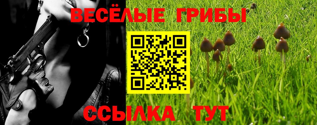 Галлюциногенные грибы GOLDEN TEACHER Электросталь